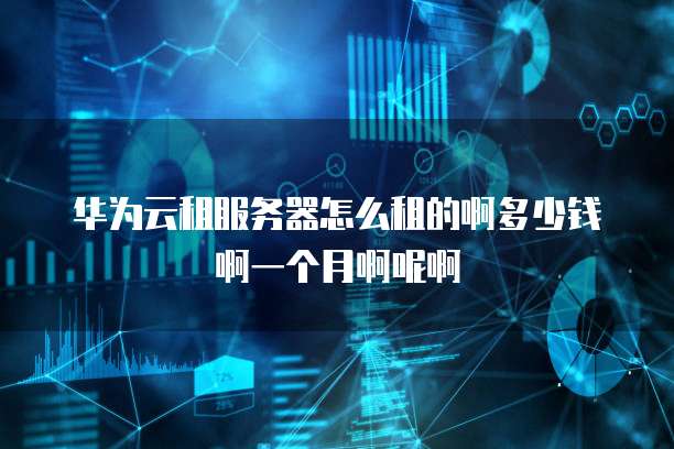 华为云租服务器怎么租的啊多少钱啊一个月啊呢啊