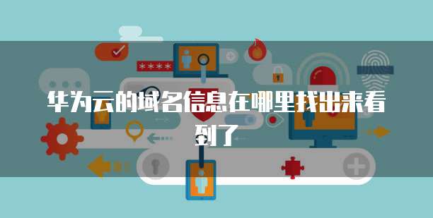 华为云的域名信息在哪里找出来看到了