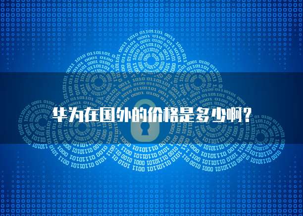 华为云帕鲁服务器链接怎么用不了了呀