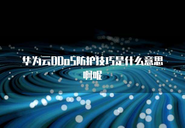 华为云DDoS防护技巧是什么意思啊呢