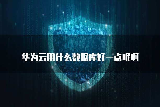 华为云用什么数据库好一点呢啊