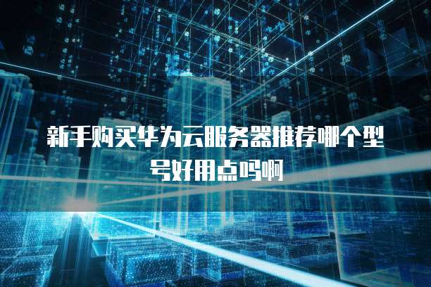 新手购买华为云服务器推荐哪个型号好用点吗啊