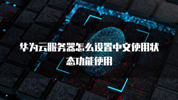 华为云服务器怎么设置中文使用状态功能使用