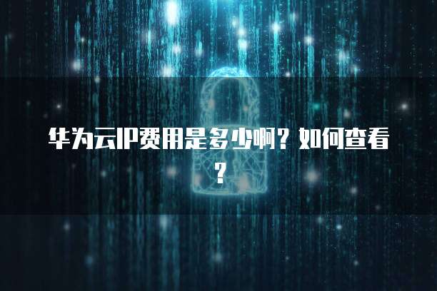 华为云IP费用是多少啊?如何查看?