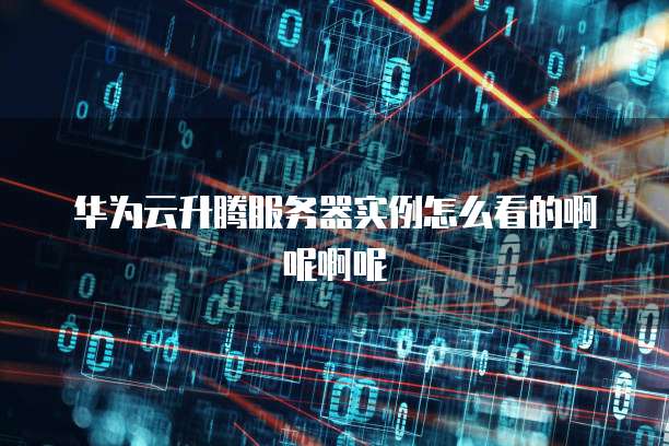华为云升腾服务器实例怎么看的啊呢啊呢