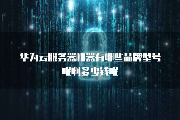 华为云服务器机器有哪些品牌型号呢啊多少钱呢