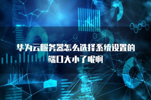 华为云服务器怎么选择系统设置的端口大小了呢啊