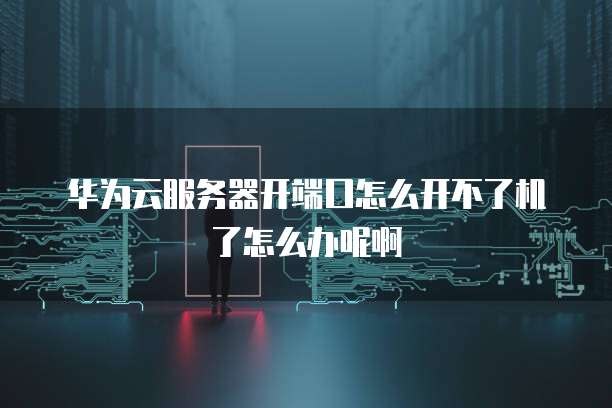 华为云服务器开端口怎么开不了机了怎么办呢啊