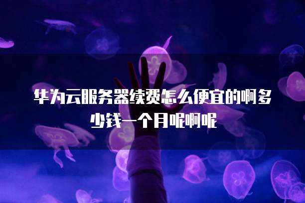 华为云服务器续费怎么便宜的啊多少钱一个月呢啊呢