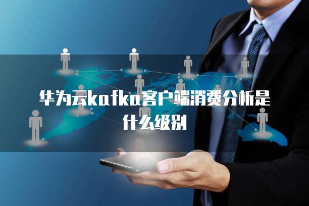 华为云kafka客户端消费分析是什么级别