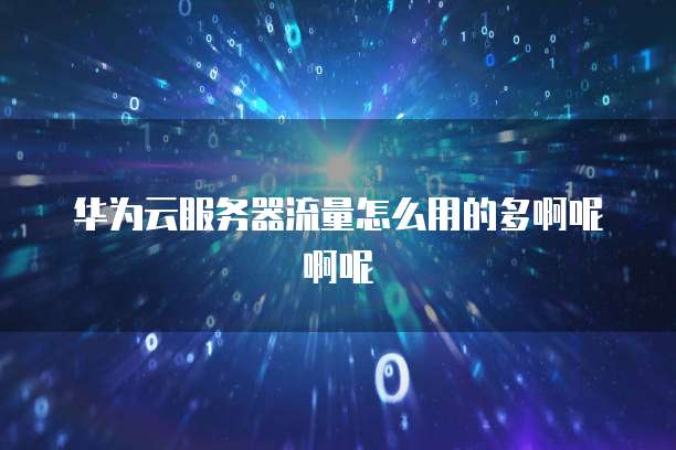 华为云服务器流量怎么用的多啊呢啊呢
