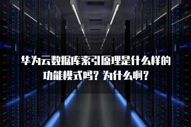 华为云数据库索引原理是什么样的功能模式吗?为什么啊?