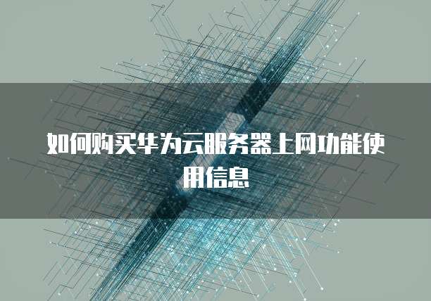 如何购买华为云服务器上网功能使用信息