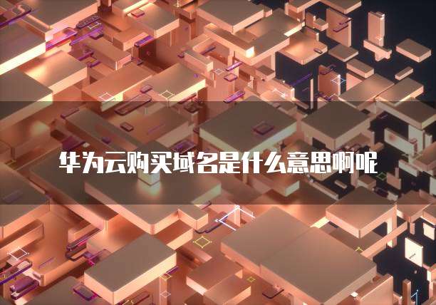 华为云购买域名是什么意思啊呢