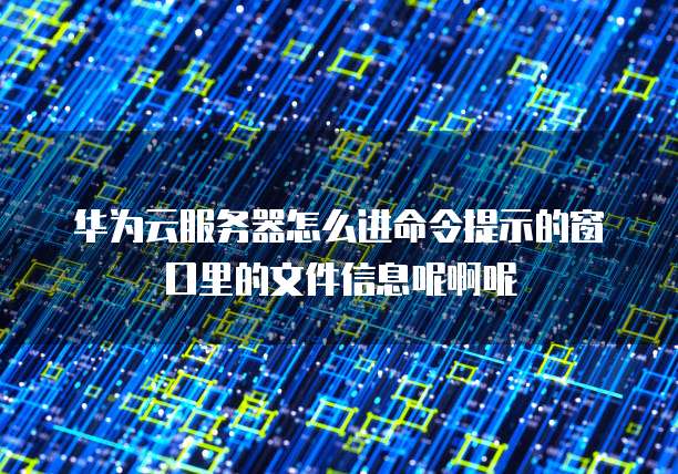华为云服务器怎么进命令提示的窗口里的文件信息呢啊呢
