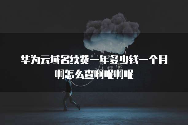 华为云域名续费一年多少钱一个月啊怎么查啊呢啊呢