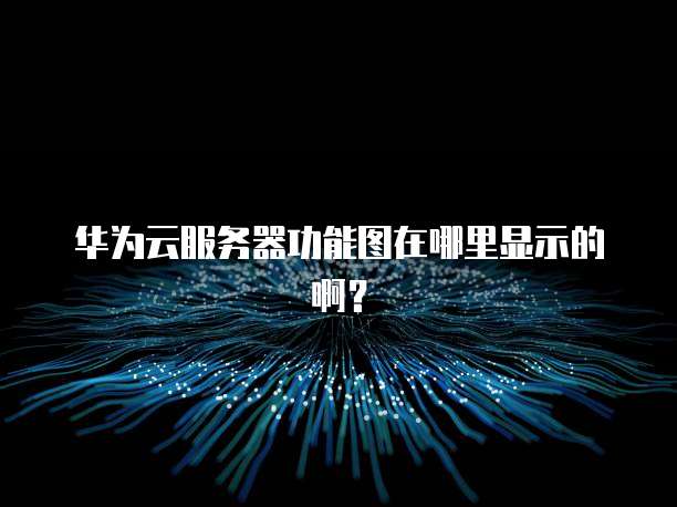 华为云服务器功能图在哪里显示的啊?