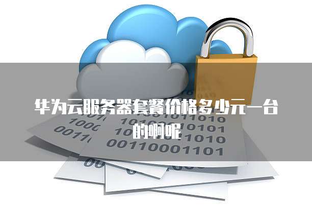 华为云服务器套餐价格多少元一台的啊呢