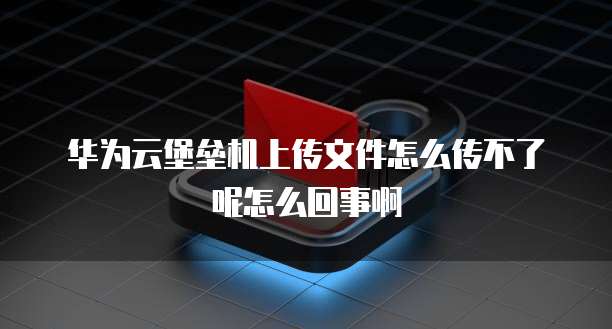 华为云堡垒机上传文件怎么传不了呢怎么回事啊