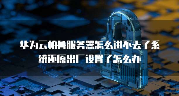 华为云帕鲁服务器怎么进不去了系统还原出厂设置了怎么办