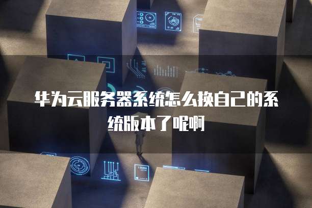 华为云服务器系统怎么换自己的系统版本了呢啊
