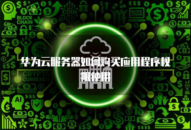 华为云服务器如何购买应用程序权限使用