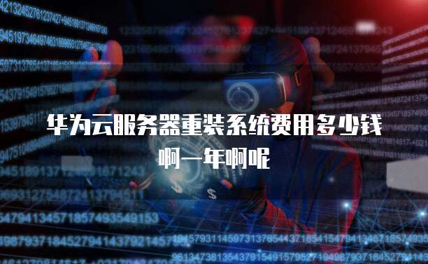 华为云服务器重装系统费用多少钱啊一年啊呢
