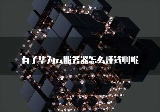 有了华为云服务器怎么赚钱啊呢