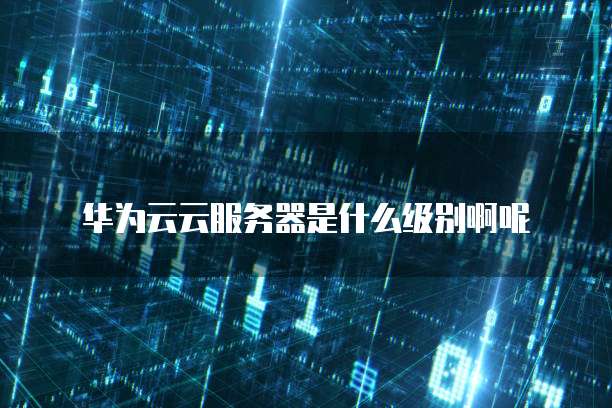 华为云云服务器是什么级别啊呢