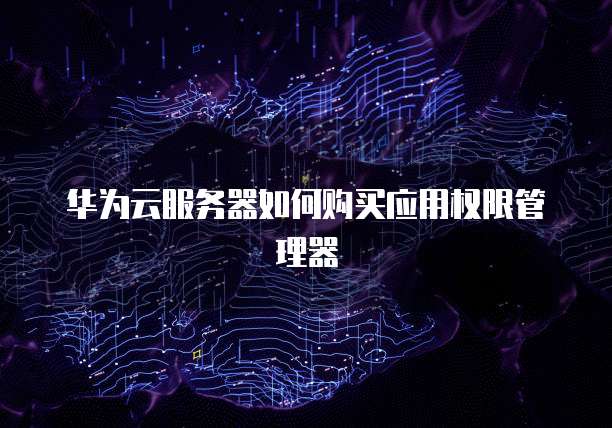 华为云服务器如何购买应用权限管理器