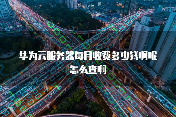 华为云服务器每月收费多少钱啊呢怎么查啊