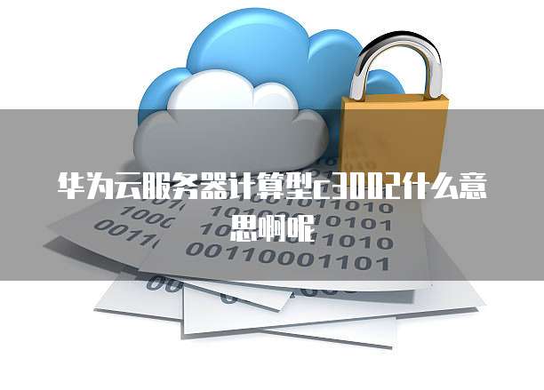 华为云服务器计算型c3002什么意思啊呢