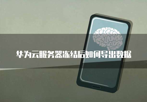 华为云服务器冻结后如何导出数据