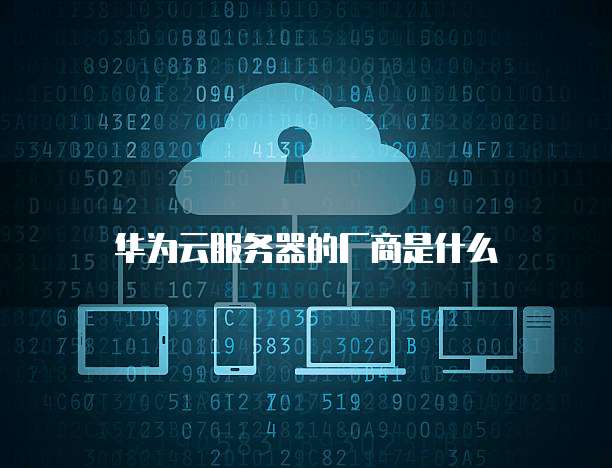 华为云服务器的厂商是什么