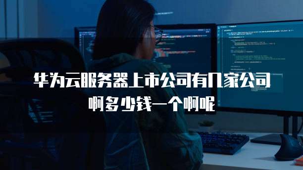 华为云服务器上市公司有几家公司啊多少钱一个啊呢
