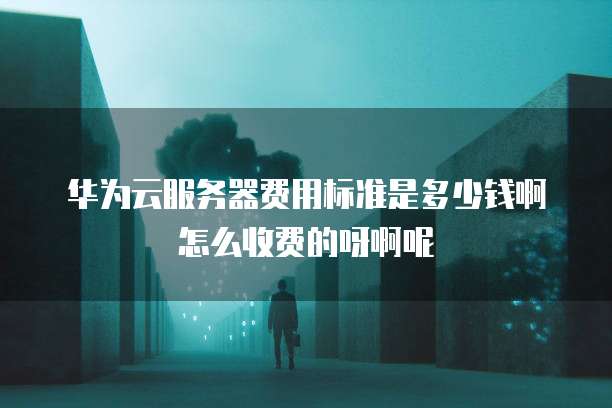 华为云服务器费用标准是多少钱啊怎么收费的呀啊呢