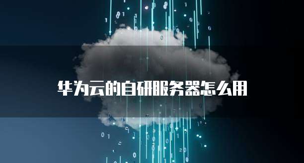 华为云的自研服务器怎么用