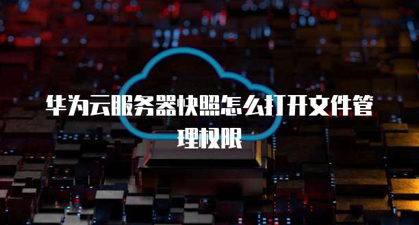 华为云服务器快照怎么打开文件管理权限