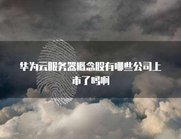 华为云服务器概念股有哪些公司上市了吗啊