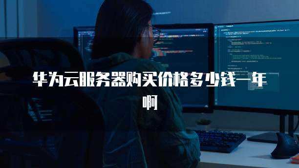 华为云服务器购买价格多少钱一年啊