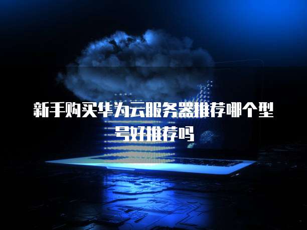 新手购买华为云服务器推荐哪个型号好推荐吗