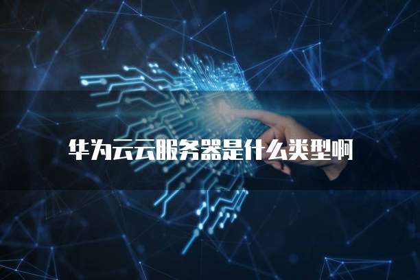 华为云云服务器是什么类型啊