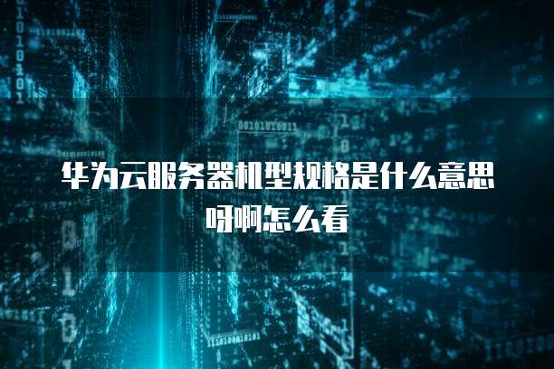 华为云服务器机型规格是什么意思呀啊怎么看