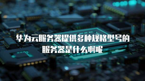 华为云服务器提供多种规格型号的服务器是什么啊呢