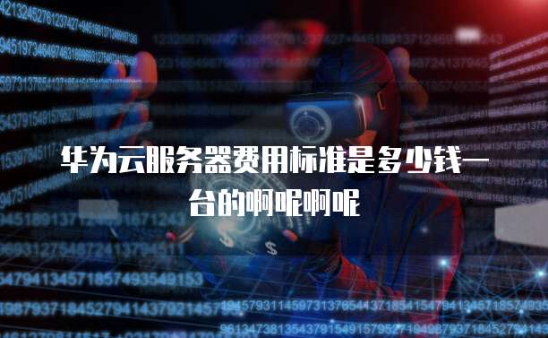 华为云服务器费用标准是多少钱一台的啊呢啊呢