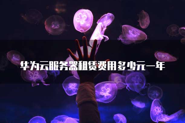 华为云服务器租赁费用多少元一年