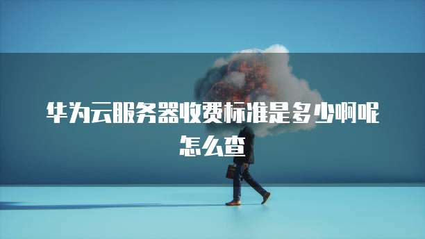 华为云服务器收费标准是多少啊呢怎么查