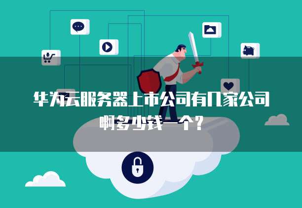 华为云服务器上市公司有几家公司啊多少钱一个?