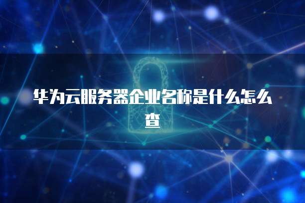 华为云服务器企业名称是什么怎么查