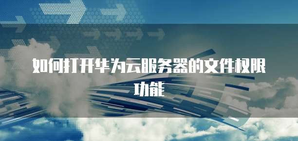 如何打开华为云服务器的文件权限功能